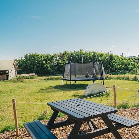 Family & Surfhostel Petten Dış mekan fotoğraf